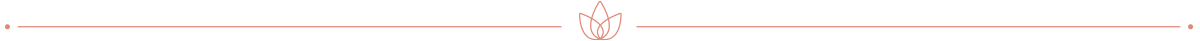 ayahuasca retreat integration