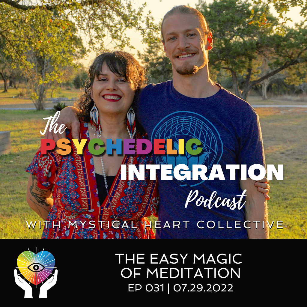the easy magic of meditation psychedelic integration podcast