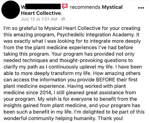 psychedelic integration academy rise and align mystical heart collective psychedelic life coach