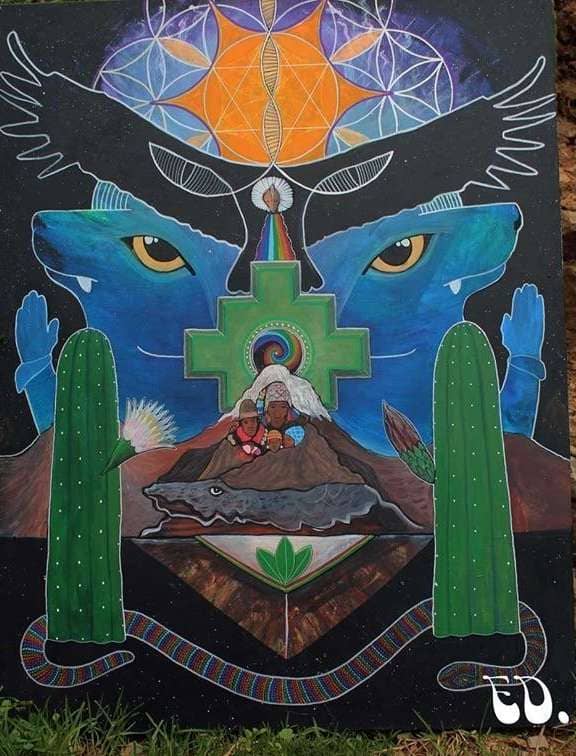 healing with san pedro