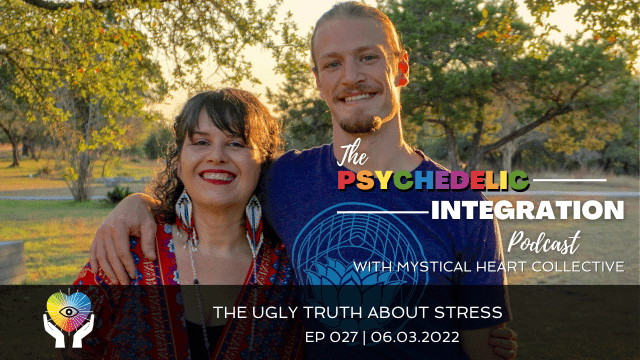 the ugly truth about stress sinclair fleetwood john steiner psychedelic integration ayahuasca retreats